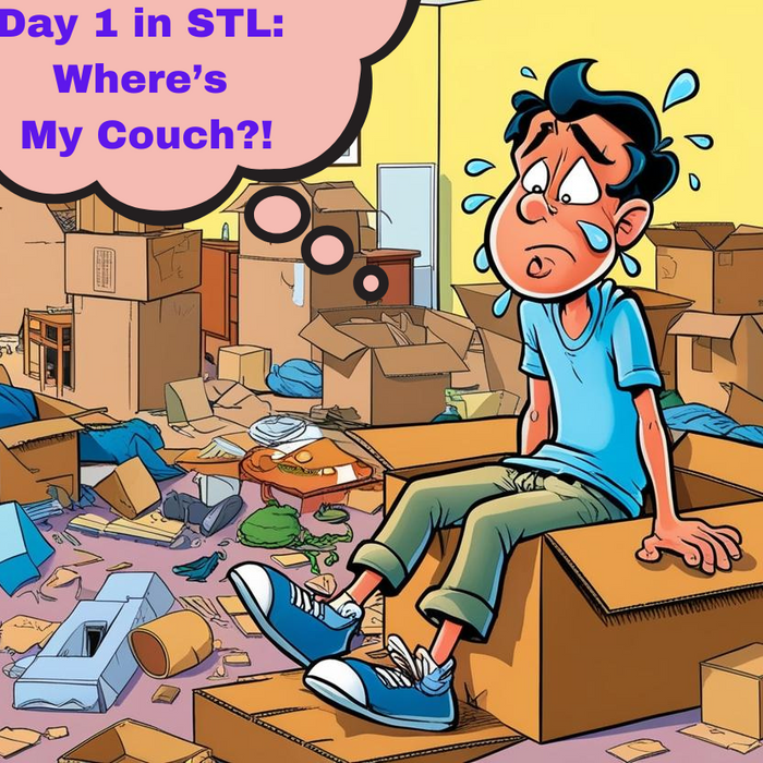 St. Louis Newbie vs. The Online Furniture Delivery Struggle: Why Locals Trust Sit N Sleep 4 Less