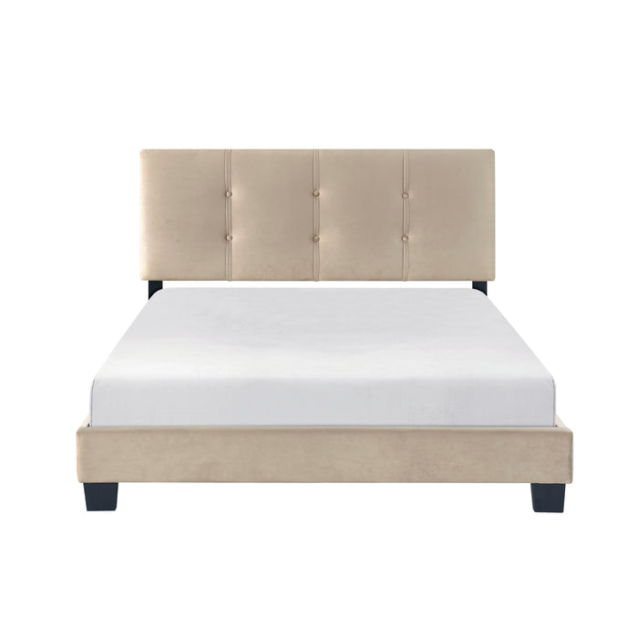 Newberry Full Platform Bed in Brown - 1350BRF-1
