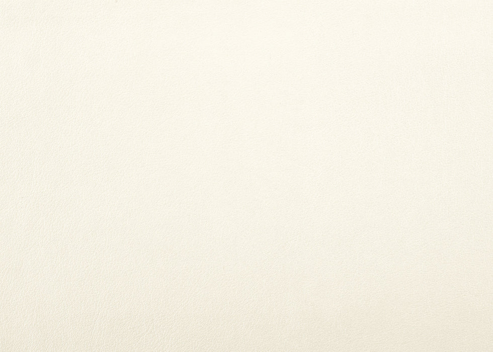 Allura Bench in White/Transparent - 1916W-FBH