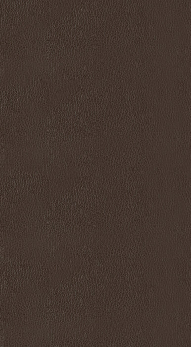 Ordway 24 Counter Height Stool, Brown in Brown - 5682BRW-24